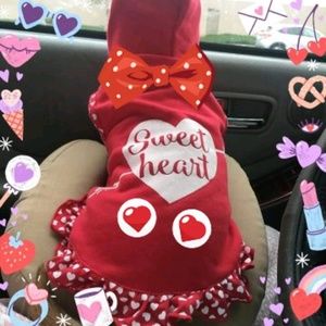 Meet your Posher, Annie